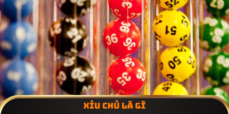 Xỉu chủ là gì